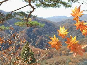 松原爆炸最新進(jìn)展，全面揭示事故真相與應(yīng)對(duì)措施