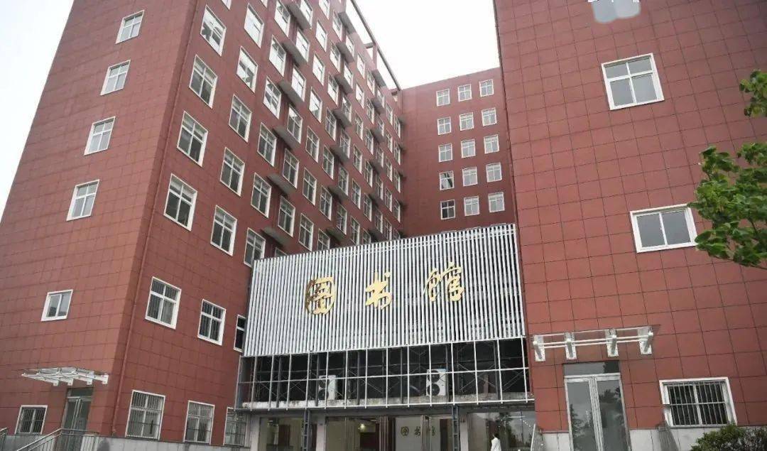 上海物流招聘最新消息，行業(yè)繁榮與職業(yè)發(fā)展的交匯點