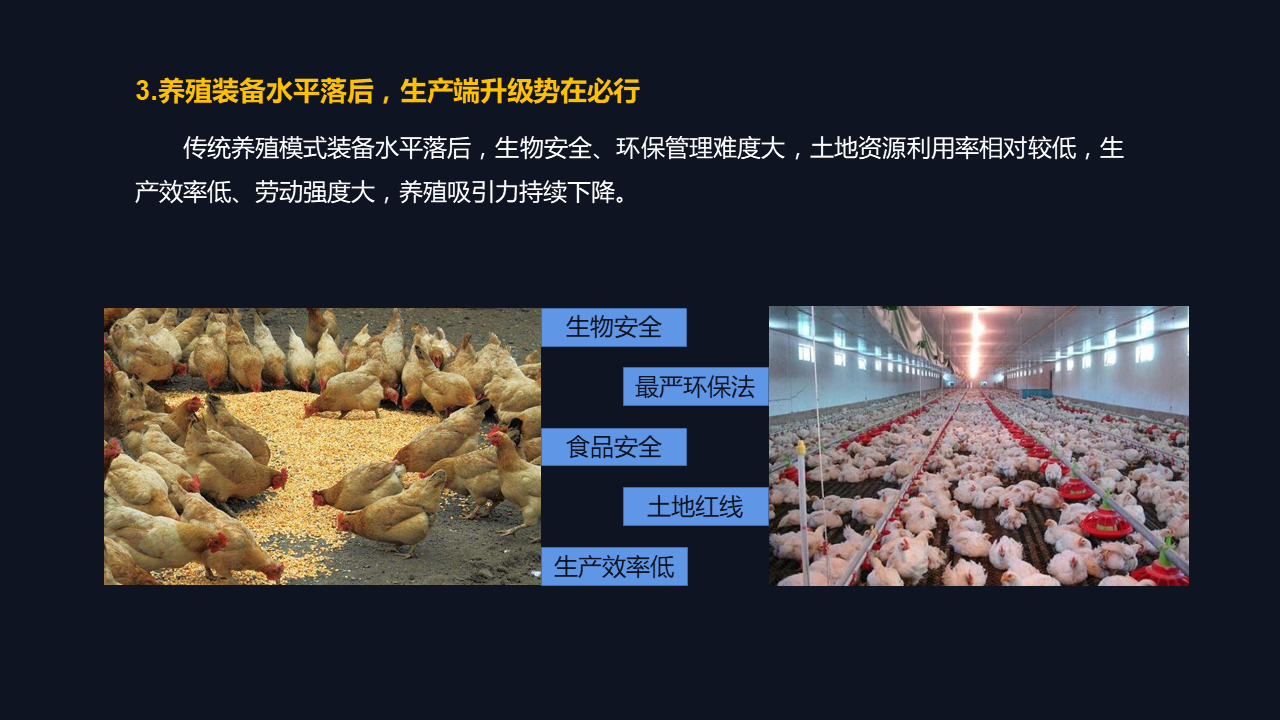 雞病專業(yè)網(wǎng)最新論壇，探討禽病防控技術(shù)與行業(yè)發(fā)展趨勢
