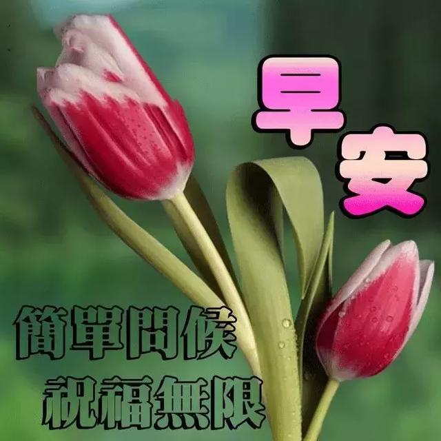 最新早上好表情圖，開啟美好一天的溫馨問候