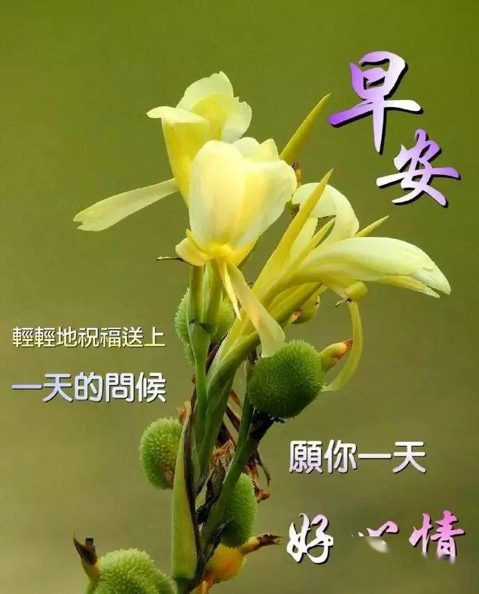 早安問候語，迎接美好的新一天——2017年最新問候語精選