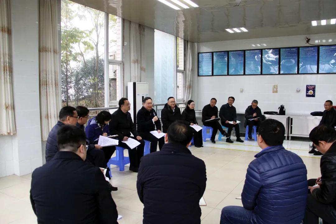 老鷹巖水電站最新動態(tài)，進(jìn)展、影響與展望