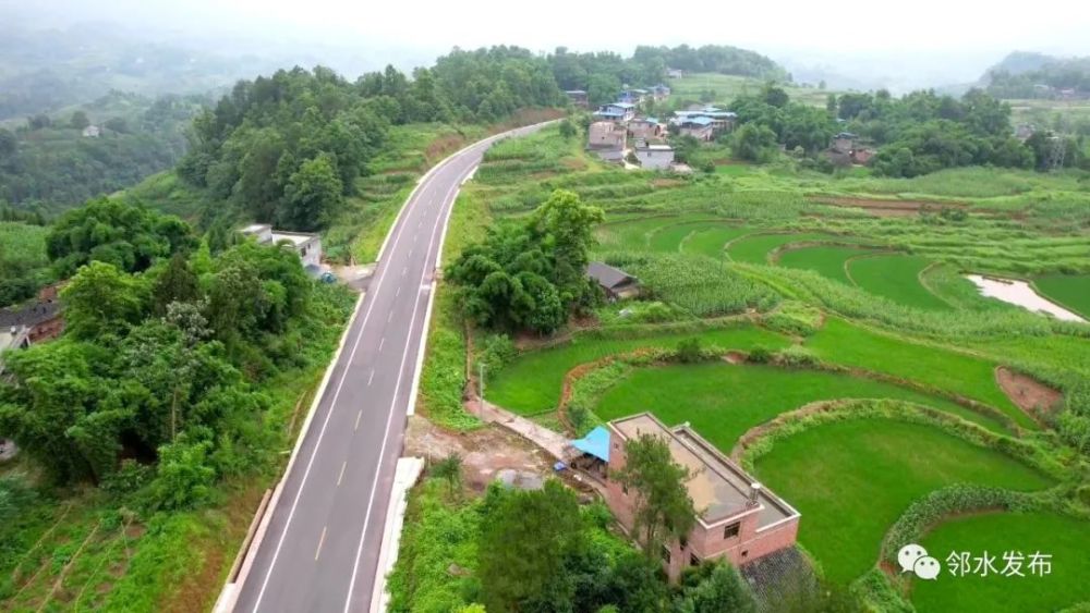 鄰水202省道最新動(dòng)態(tài)，邁向現(xiàn)代化交通建設(shè)的步伐穩(wěn)健前行