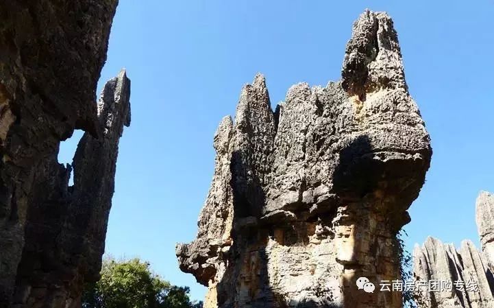 石林風(fēng)景區(qū)最新招聘啟事——探尋人才，共筑旅游勝地