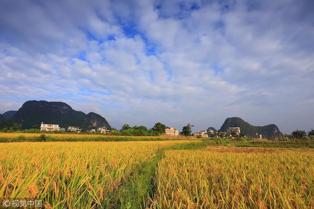 井岡山旅游上市最新動(dòng)態(tài)，發(fā)展機(jī)遇與挑戰(zhàn)并存