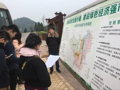 遂寧最新交通規(guī)劃圖，塑造現(xiàn)代化城市交通格局