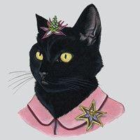 探索2017年最新微信頭像趨勢(shì)，時(shí)尚、個(gè)性與獨(dú)特風(fēng)格的融合