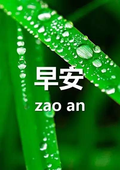 最新早安問候語微信，開啟美好一天的溫馨問候