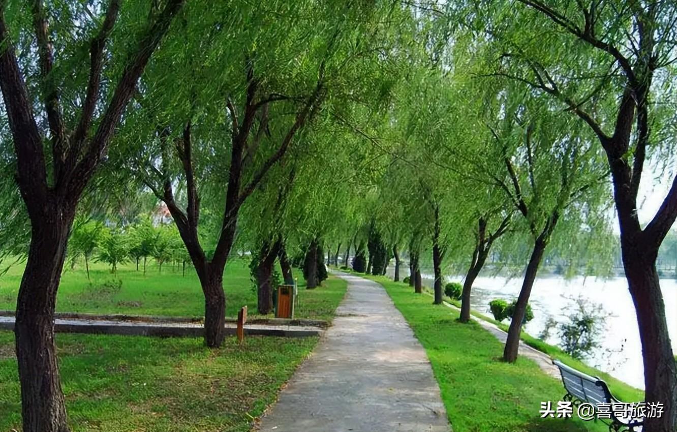 阜陽東方明珠最新動態(tài)，揭開發(fā)展新篇章的序幕