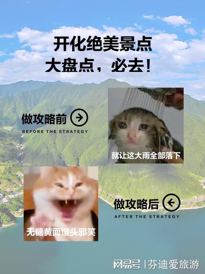 文德公園最新動(dòng)態(tài)，一場自然與人文的交響樂章