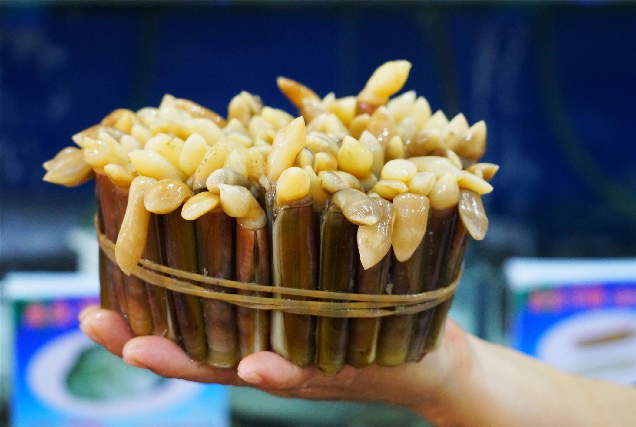 三亞最新景點探索，熱帶風情的新面貌
