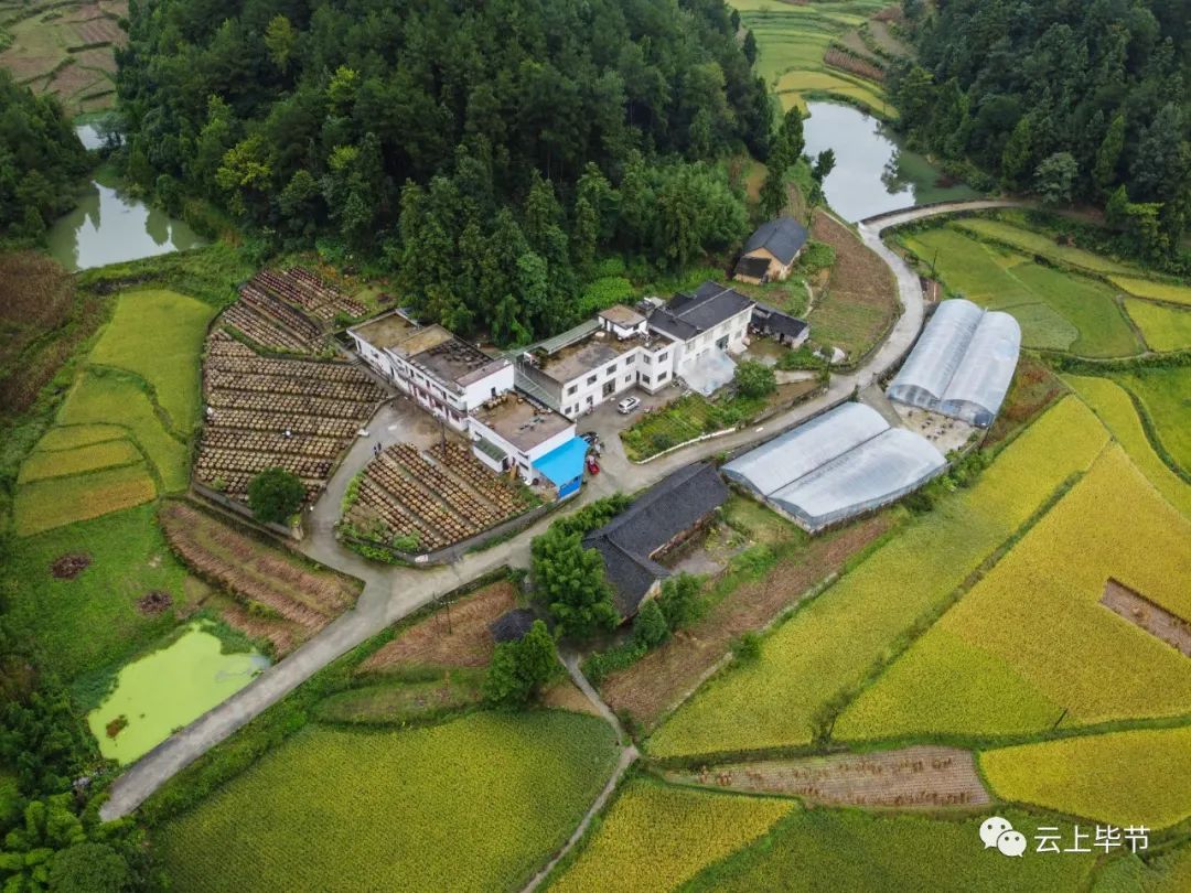 畢節(jié)田壩橋鎮(zhèn)最新規(guī)劃，打造未來田園新典范